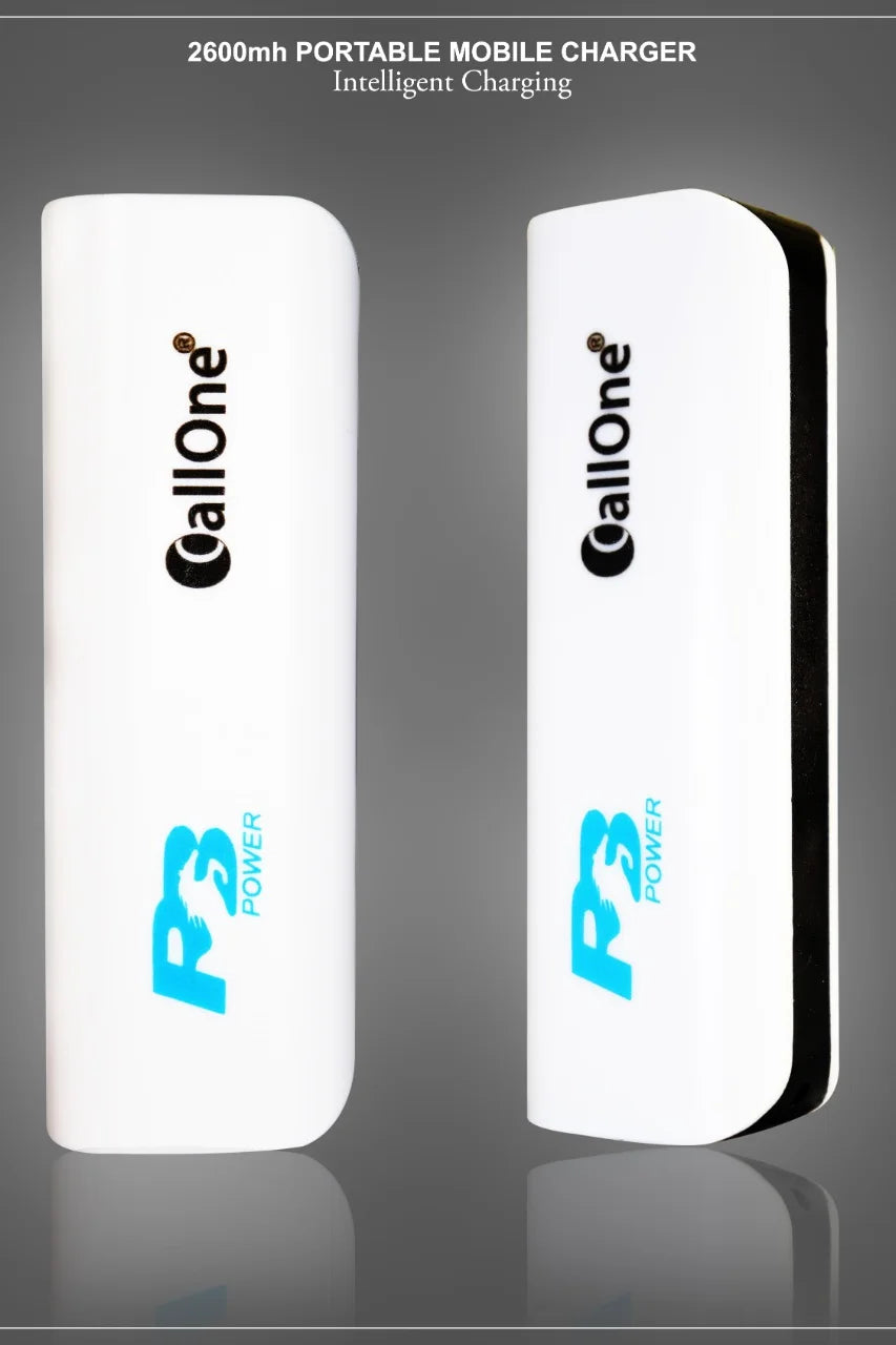 P3 Power Bank
