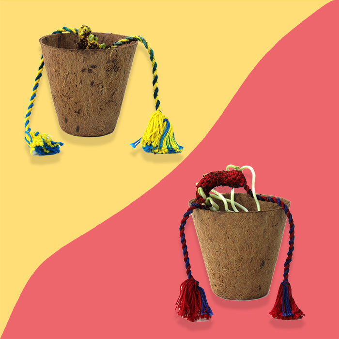 Hand-Made, Eco-Friendly Plantable Crochet Rakhi Combo Pack