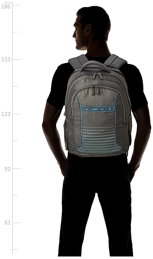 Skybags Network Rc 34L Unisex Grey Laptop Bags