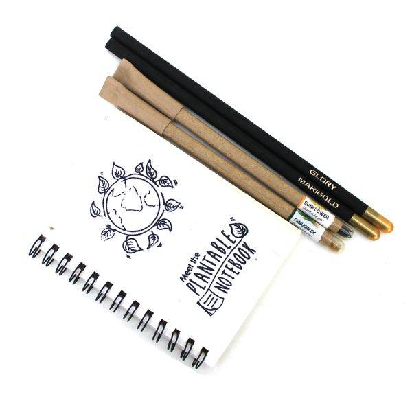Pocket Kit – Plantable Gift