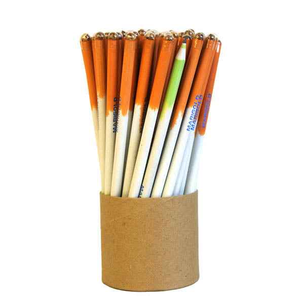 Tri-Color Seed Pencils