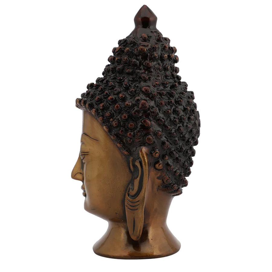 Art Lord Gautam Buddha Brass Statue Head