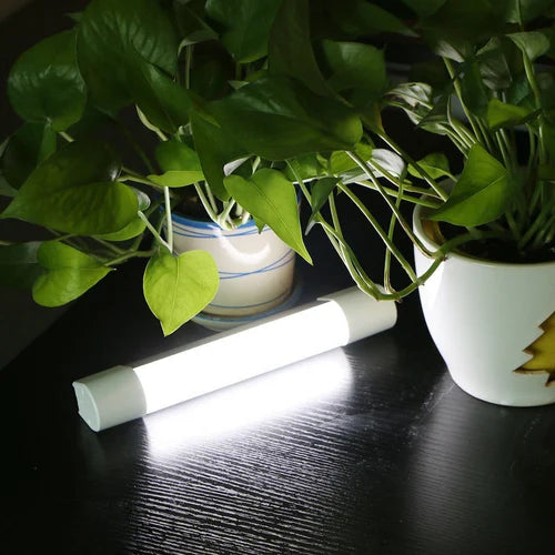 Portronics Power Bank