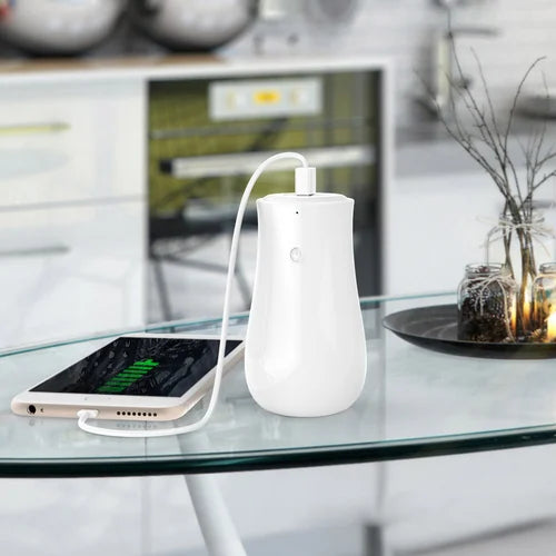 Mushroom Shape Power Bank