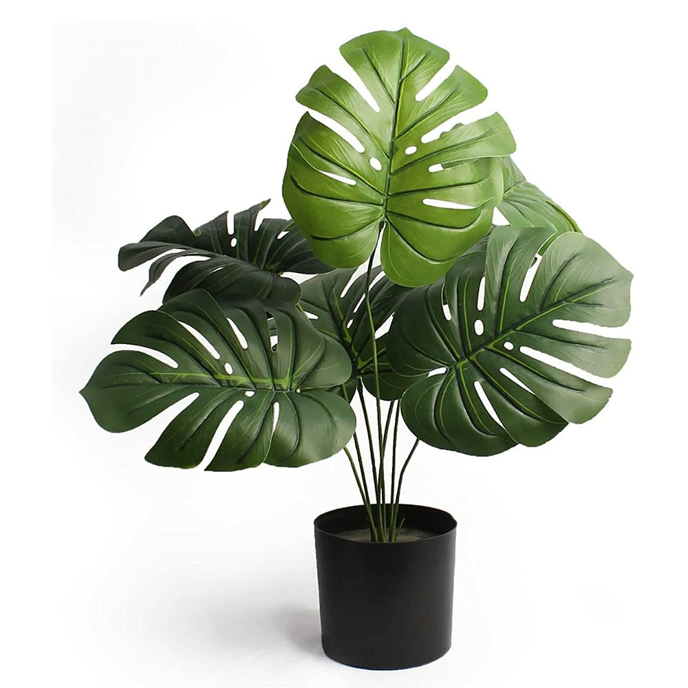 Best Plastic Planters