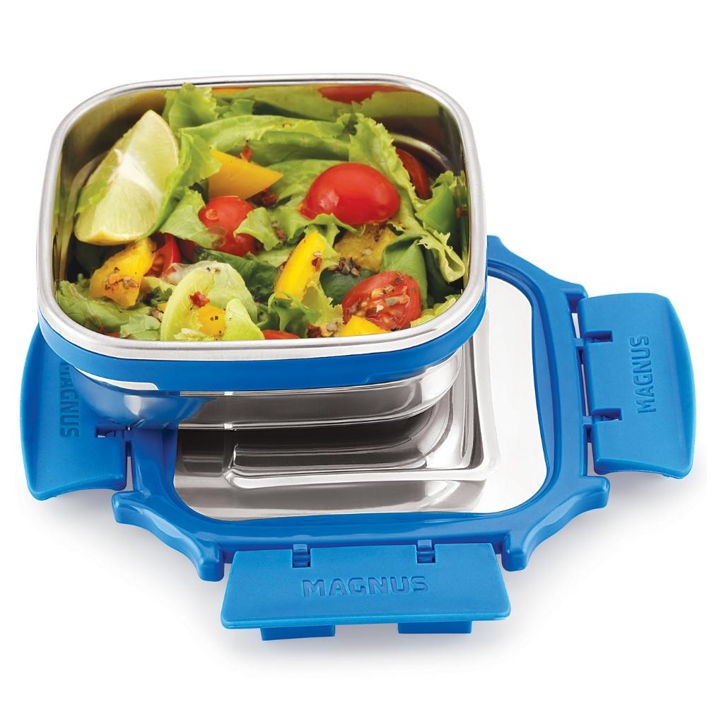 2 Airtight & Leakproof Stainless Steel Lunch Box with Bag