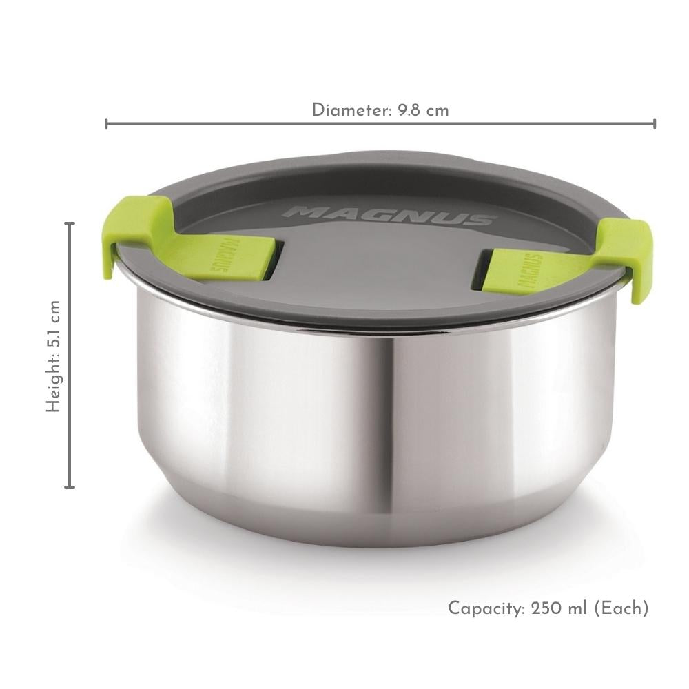 2 Stainless Steel Lunch Box with Bag