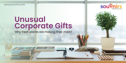 Unusual Corporate Gifts: Why Fresh Plants Are Making Their Mark?