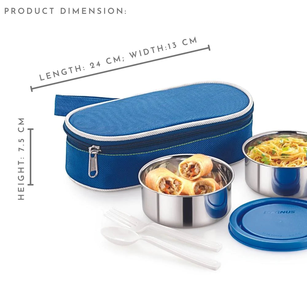 2 Airtight and Leakproof Stainless Steel Lunch Box with Carrying Bag 2 Containers Lunch Box