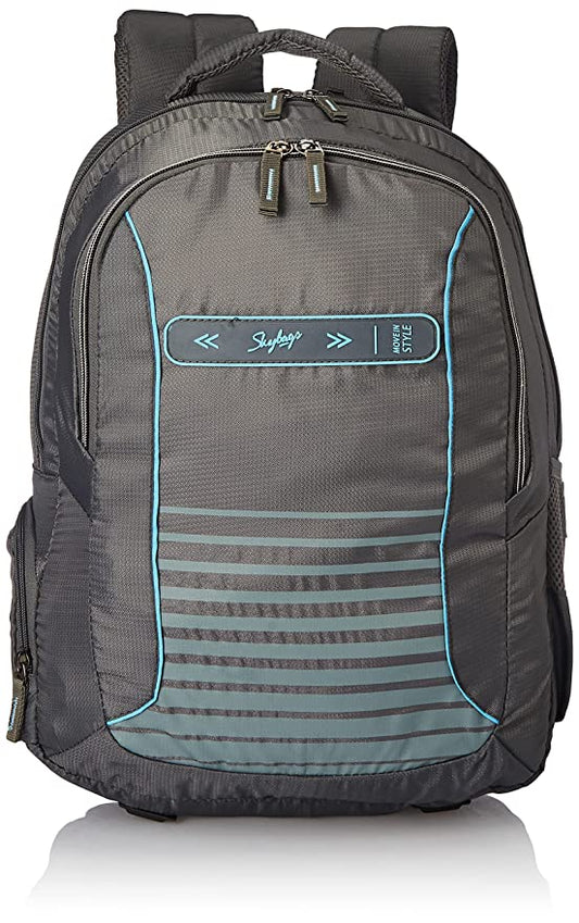 Skybags Network Rc 34L Unisex Grey Laptop Bags