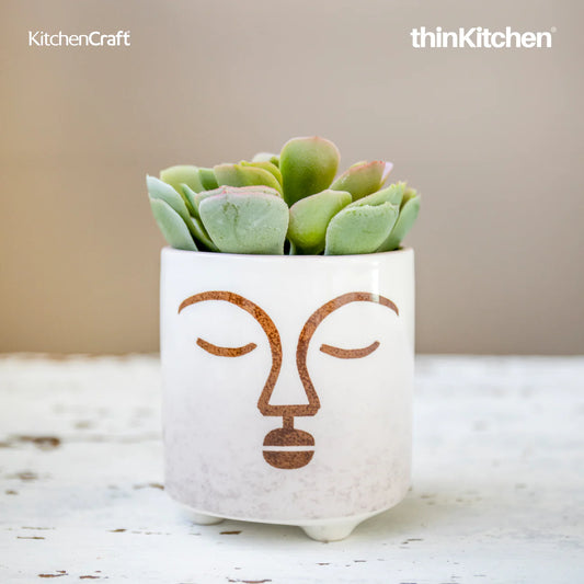 Mini Planter with Terracotta Face Design