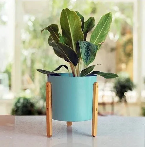 Flower Pot with Wooden Plant Stand