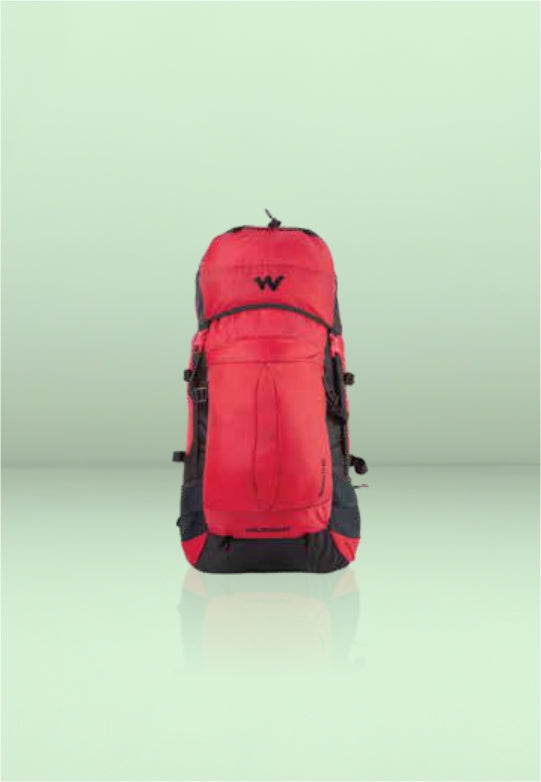 Rucksack Travel-Friendly Backpack