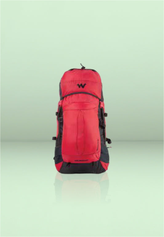 Rucksack Travel-Friendly Backpack