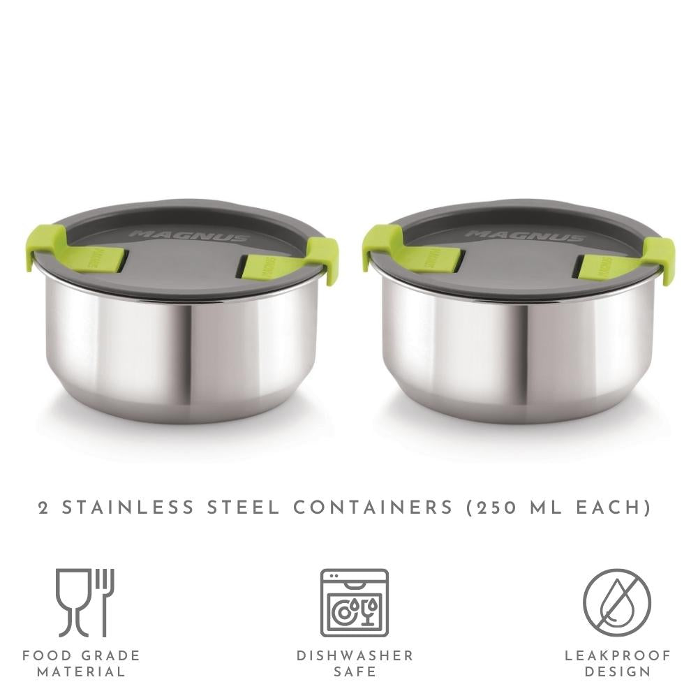 2 Stainless Steel Lunch Box with Bag
